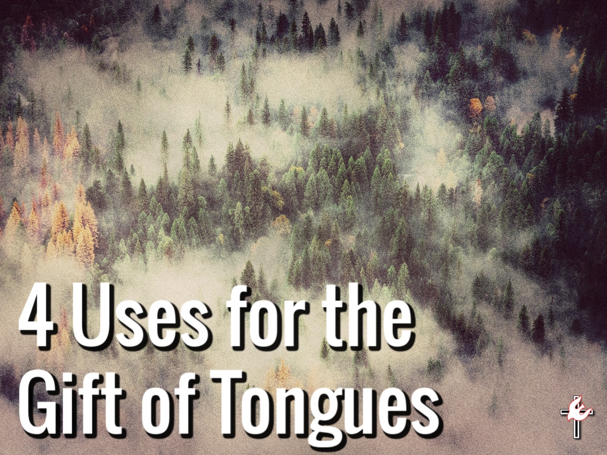 How Many Times Is Tongue Mentioned In The Bible Eternal Bible